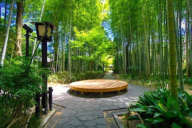 竹林の小径